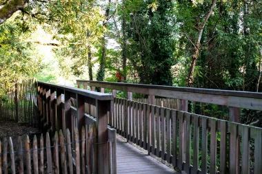 Parc de Mussonville de Begles (4).
